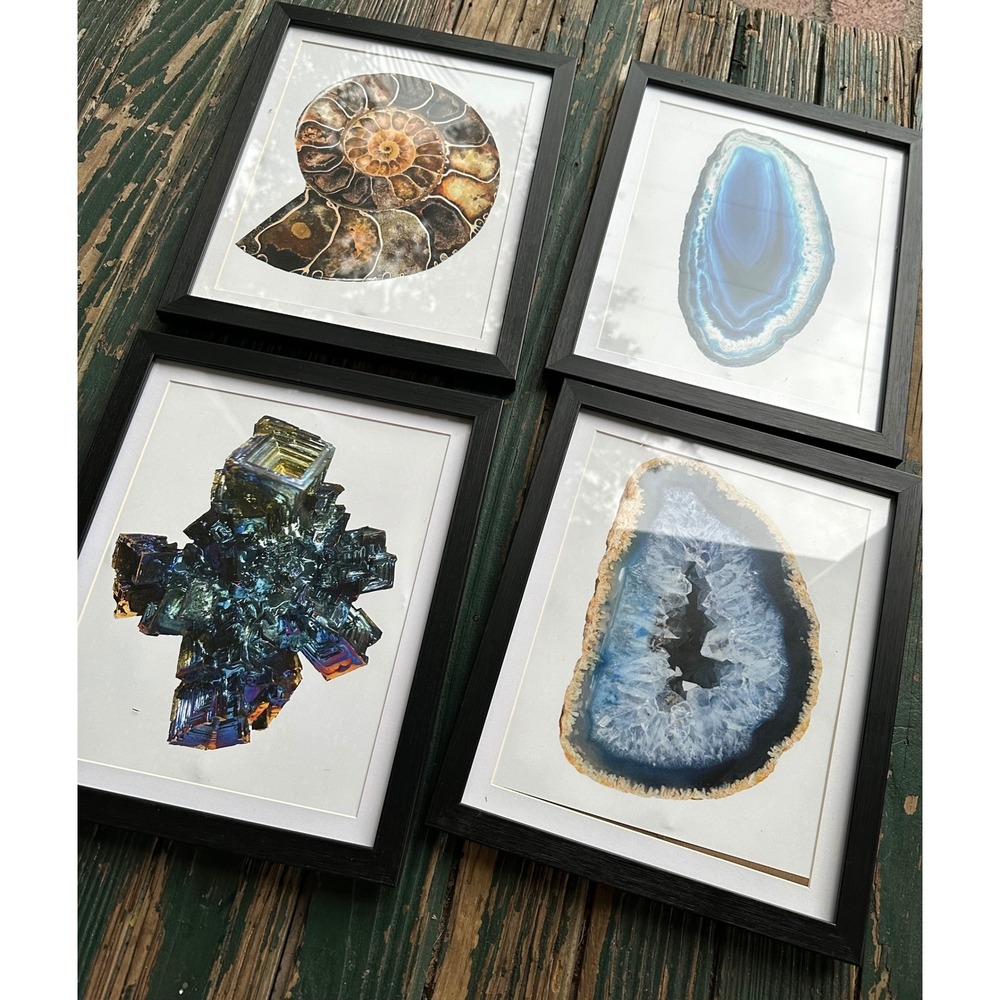 Set of 4 Framed Crystal and Fossil Art Prints Agate Bismuth Ammonite 11x13
